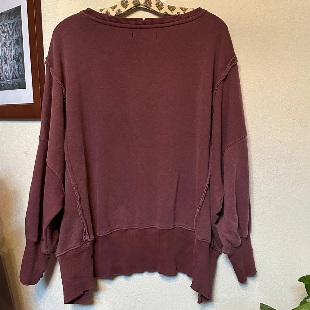 NWT Free People We The Free | Camden Sweatshirt Pullover | XS